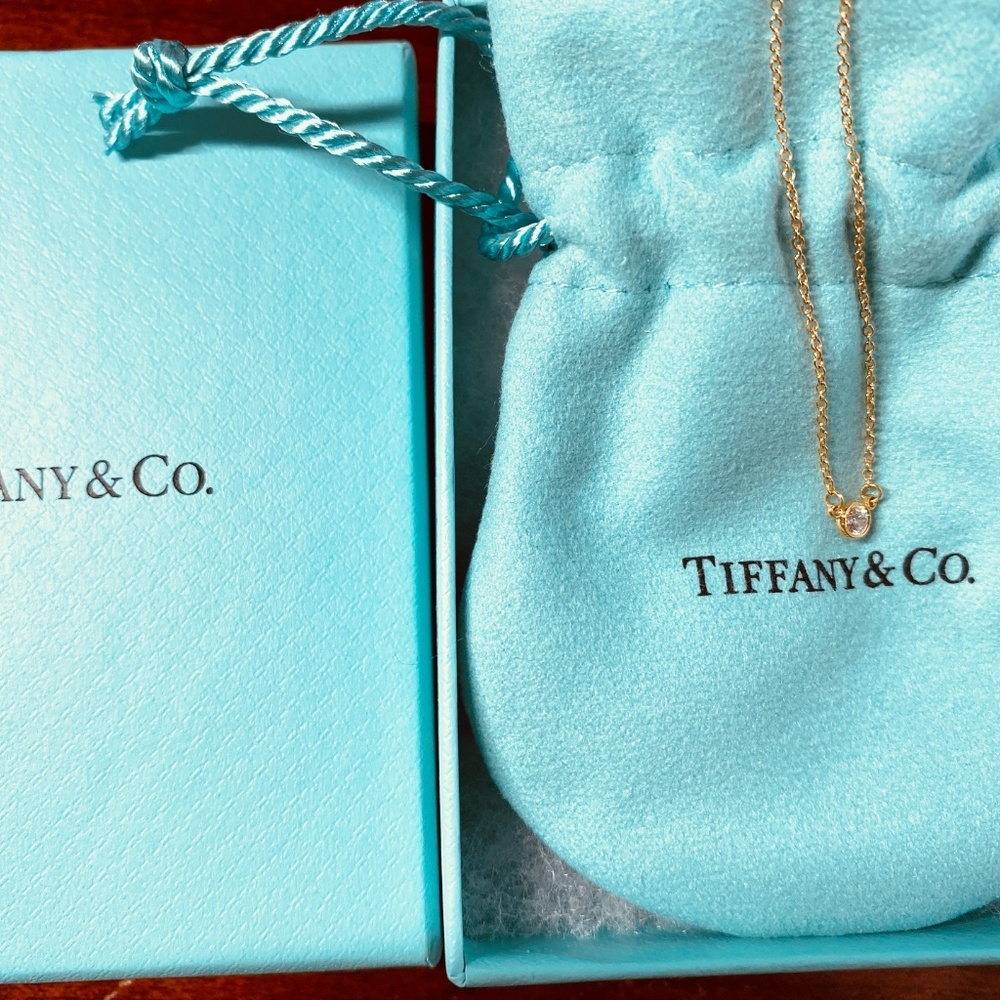 Tiffany & Co Elsa Peretti .10 carat  Diamond by the Yard 16” Necklace - Picture 7 of 8